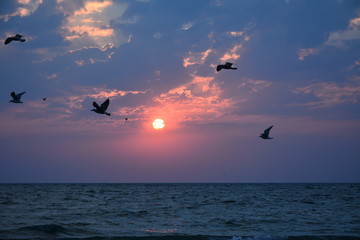 a sunrise on the beach in Eforie Nord