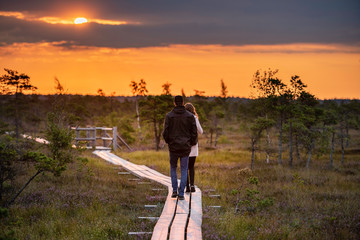 Swamp during sunrise with couple walking on the wooden path, Kemeri national park, Latvia. (high...