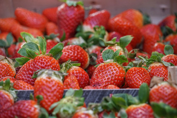 Obst. Essen. Gemüse.	