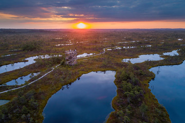 Aerial view of swamp, wooden path and wooden watchtower  in Kemeri national park during sunrise....
