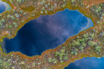 Aerial view of swamp in Kemeri national park during sunrise. (high ISO image)