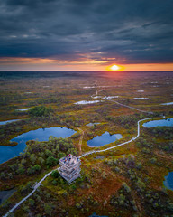 Aerial view of swamp, wooden path and wooden watchtower  in Kemeri national park during sunrise....