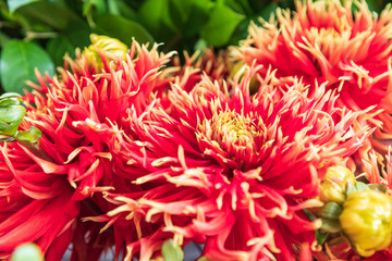 USA, Washington State, Vancouver. Fresh cut flowers for sale at a farmers market.