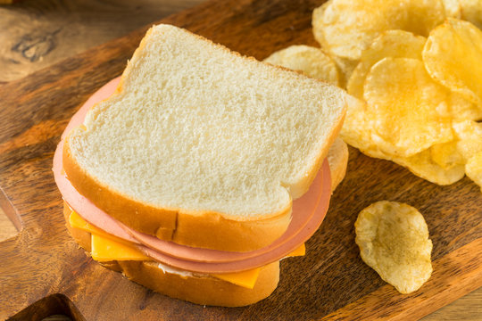 Homemade Bologna and Cheese Sandwich