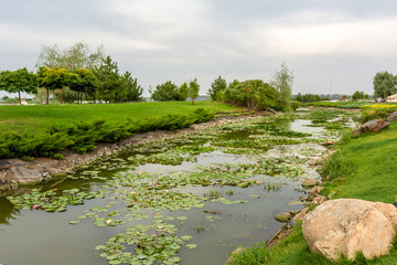 A narrow river channel in which a lotus blooms. Around the green lawns and landscaped area