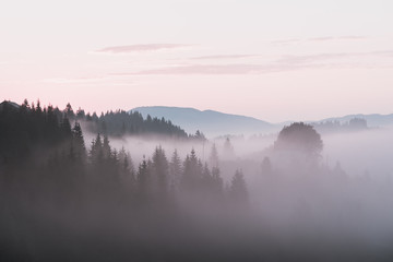 Foggy sunrise in the Carpathian mountains Ukraine