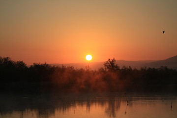 Fototapeta premium sunset on the lake