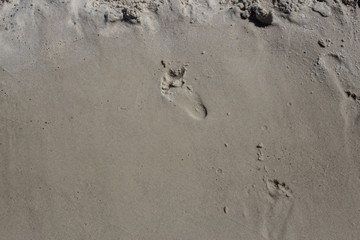 footprints in the sand