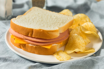 Homemade Bologna and Cheese Sandwich