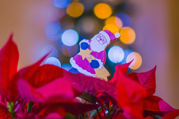 Santa Claus Christmas, star, spurge Christmas tree bokeh lights apartment interior