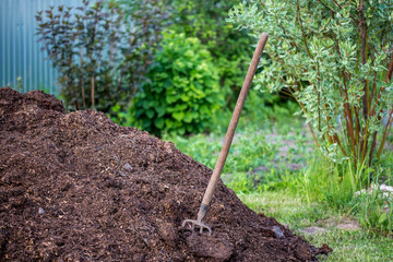 old pitchfork stuck in a pile of manure to fertilize the soil in the garden