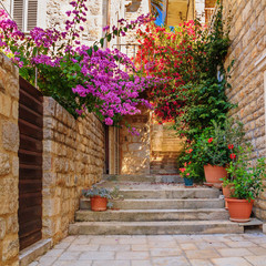 Mediterranean summer cityscape - view of a medieval street with stairs and flowers in the Old Town of Hvar, the island of Hvar, the Adriatic coast of Croatia