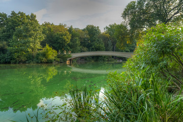 Fototapeta na wymiar Bow bridge in late summer or early fall