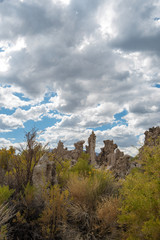 storm clouds over tufa towers and yellow flowers Mono Lake California