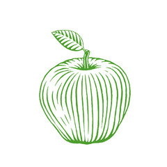 Green Ink Sketch of Apple Illustration