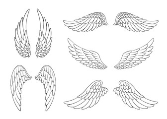 Set of hand drawn bird or angel wings of different shape in open position. Contoured doodle wings set - 290608430