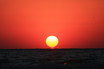 a sunrise at the seashore in red colors