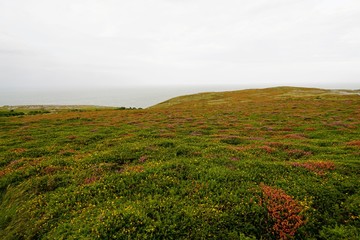 Coastline of Wales Great Orme