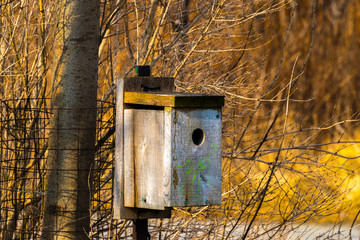 birdhouse on tree