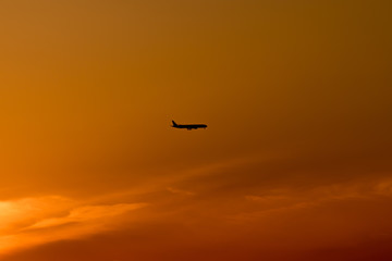 airplane flying in the sky