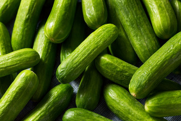 Raw Green Organic Mini Cocktail Cucumbers - obrazy, fototapety, plakaty