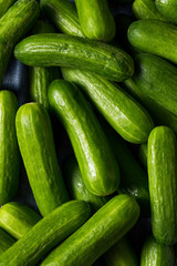 Raw Green Organic Mini Cocktail Cucumbers