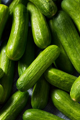 Raw Green Organic Mini Cocktail Cucumbers