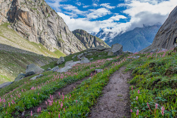 hiking trail in the himalayan mountains