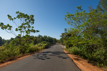 driving  in the highway through forest area