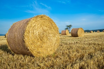 bales of hay