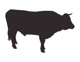 Silhouette bull on white background. Vector icon.