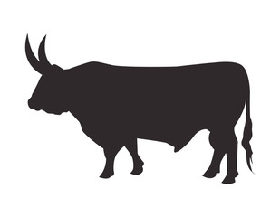 Silhouette bull on white background. Vector icon.