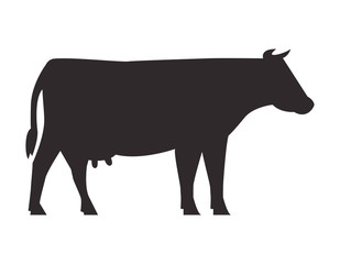 Silhouette cow on white background. Vector icon.