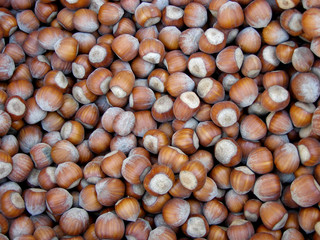 Not peeled hazelnuts. Healthy and wholesome food.