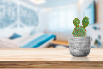 Cement Vase with cactus on vase pot on table