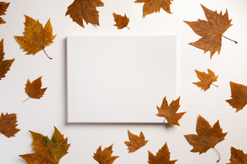 Template for fall festival, poster, web, invitation, flyer, Happy Thanksgiving, seasonal sale