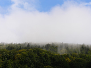 Forest mountain in the fog. Blue sky.