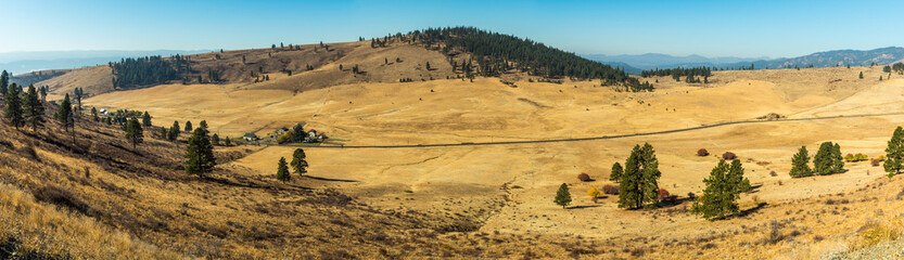 Landscape of the plain in Hidden Valley with yellowish soil and some trees and ranches in Cle Elum