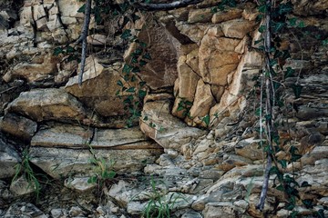 masonry in forest