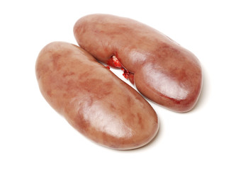 Kidney raw pork on white background
