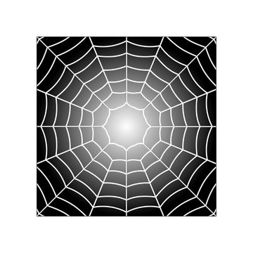 Vector illustration of spiders web