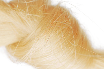 Macro shot of hair knot, blond