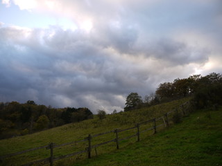Fototapeta na wymiar Herbstwald 