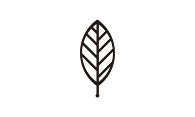 line leaf vector