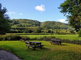 bench in park