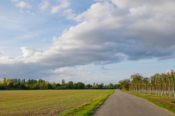 Outdoor scenery of small street without people in countryside area surrounded with farm and agricultural field and background of sunny sky and dramatic clouds.