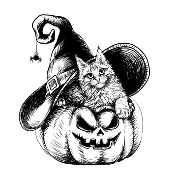 Wall sticker. Hand-drawn sketch of cute kitten in a hat lies on a pumpkin.