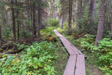 Emerald Lake Hiking Trail in Yoho National Park, Canada
