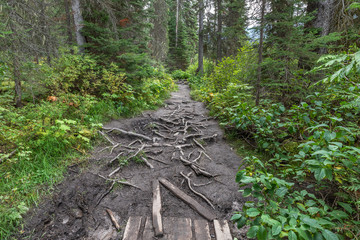 Emerald Lake Hiking Trail in Yoho National Park, Canada