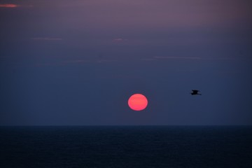 a sunrise at the seashore in red and blue colors